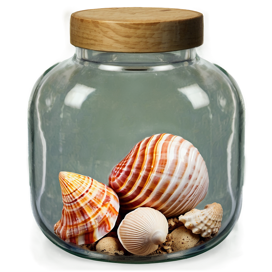 Shells In A Glass Jar Png 06212024