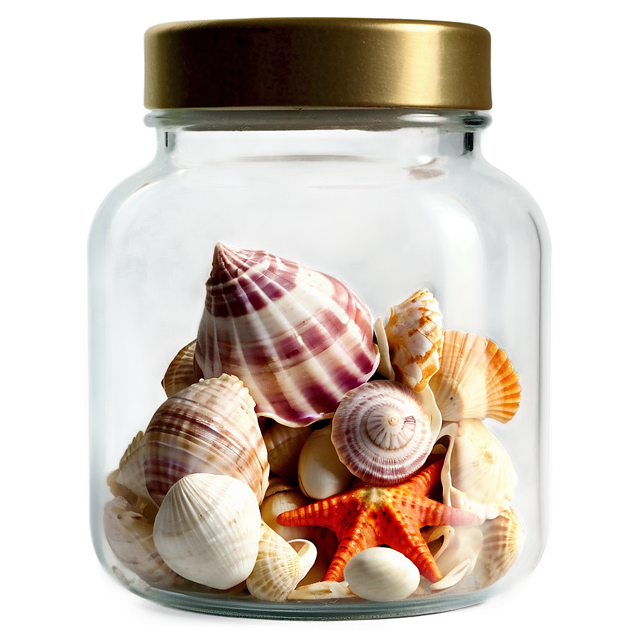 Shells In A Glass Jar Png Pkh