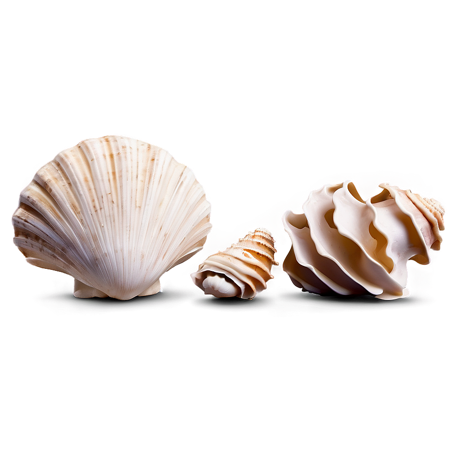 Shells With Aquatic Plants Png 96