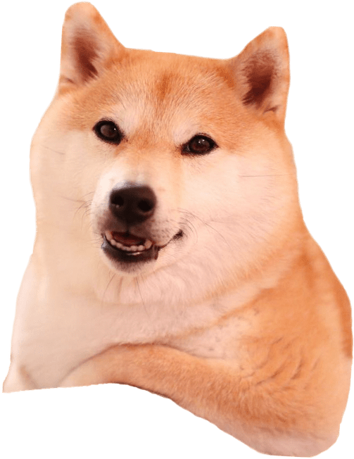 Shiba Inu Cushion Design