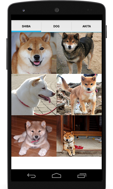 Shiba Inu Dog Breeds Mobile App