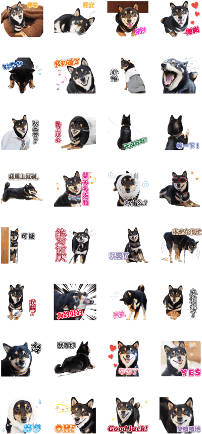 Shiba Inu Emotion Stickers