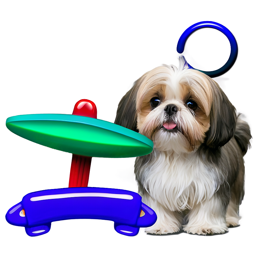 Shih Tzu Summer Fun Png Ngu