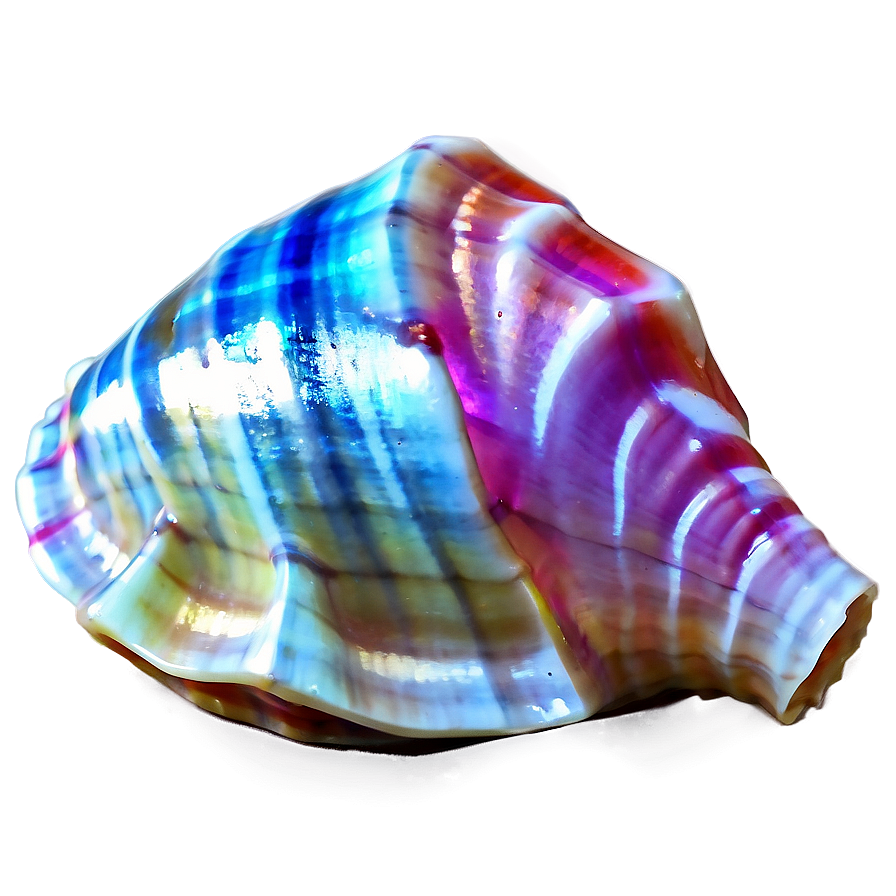 Shimmering Conch Shell Png Qgl