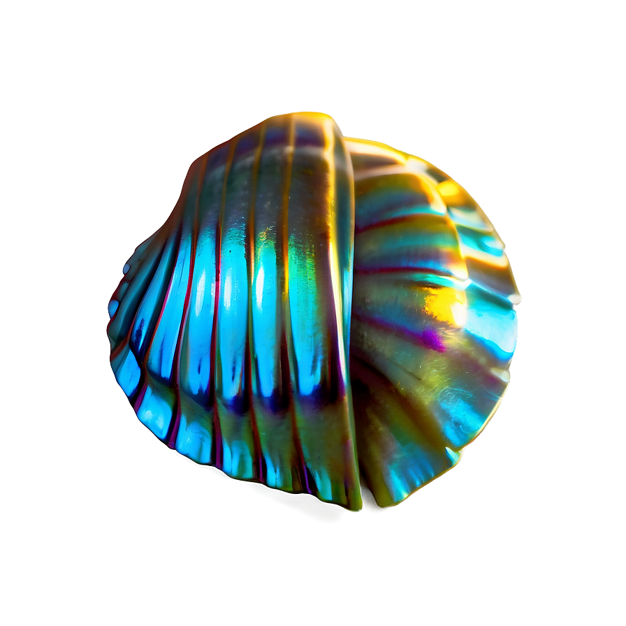 Shimmering Shell Graphic Png 05212024