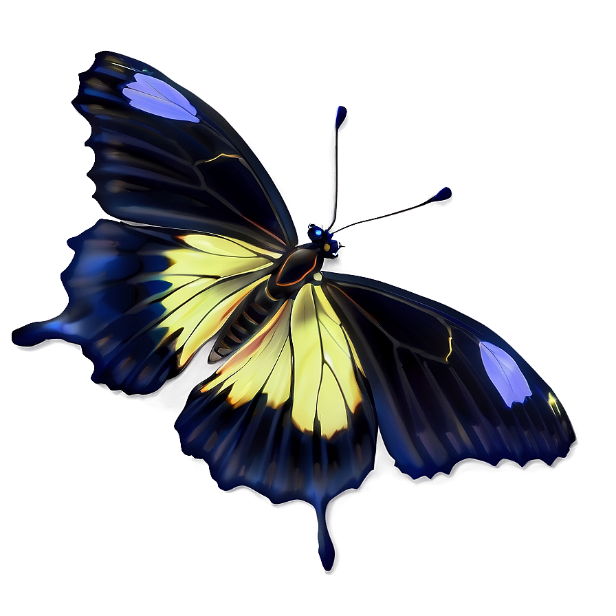 Shiny Black Butterfly Png Mdp74