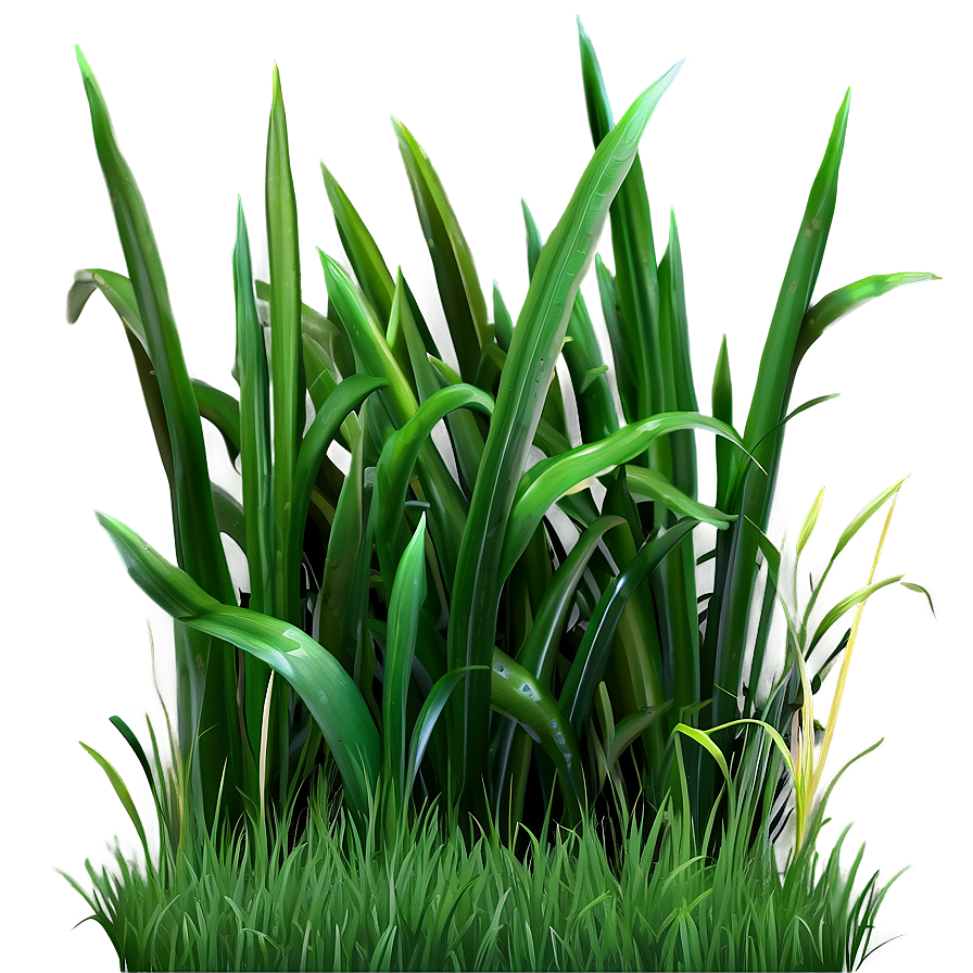 Short Green Grass Png Yrm