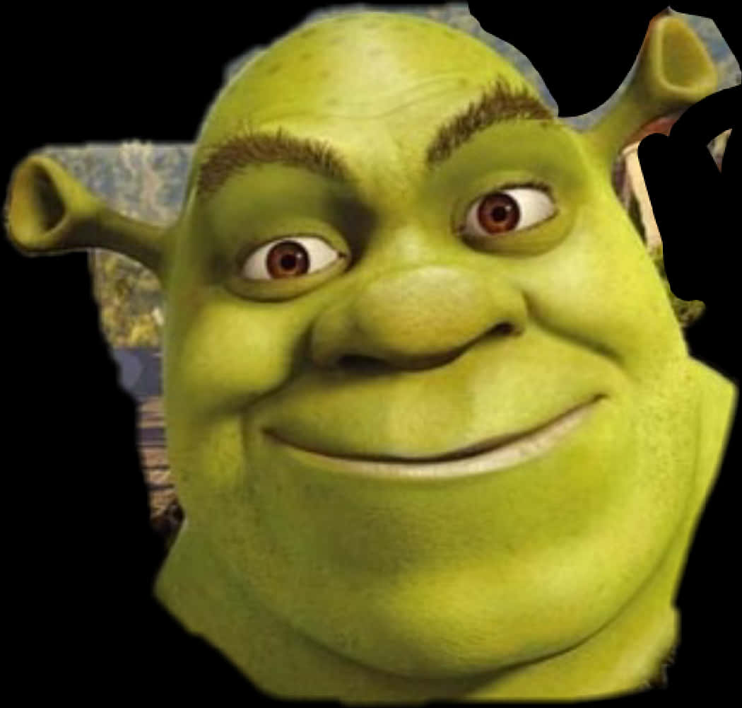 Shrek Character Close Up