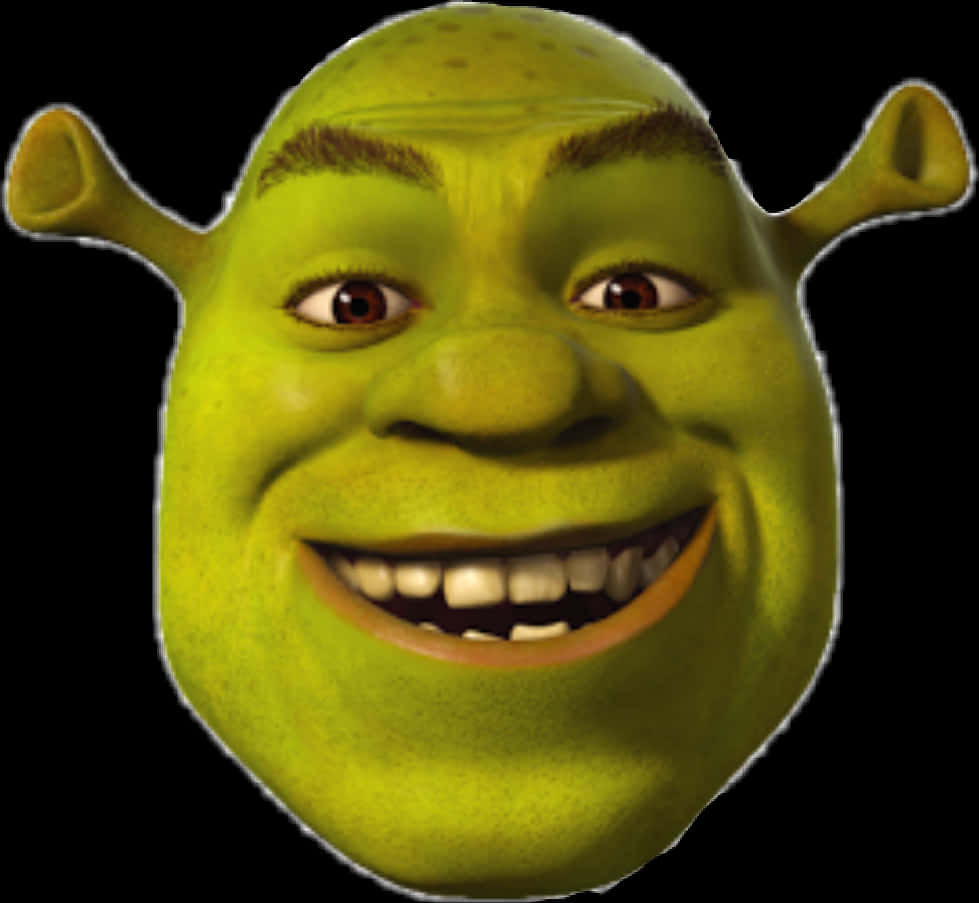 Shrek Smiling Portrait