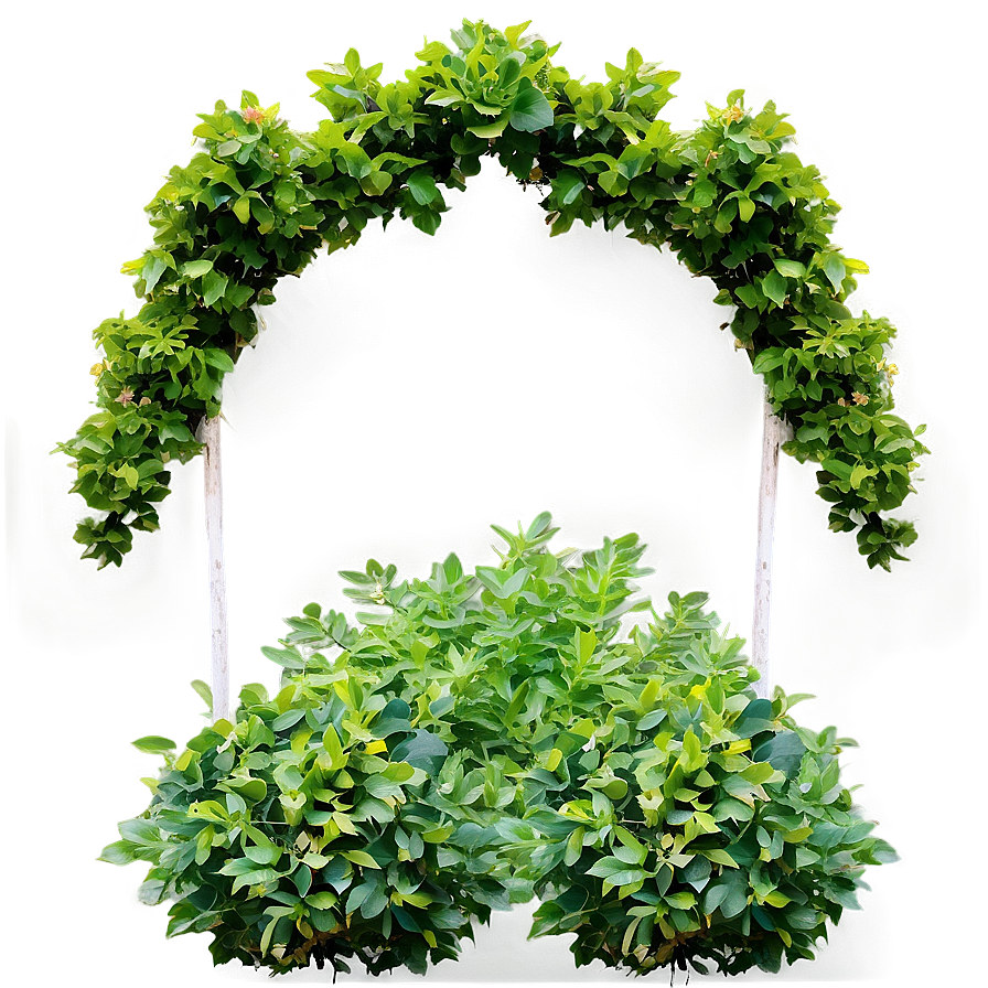 Shrub Border Png 86