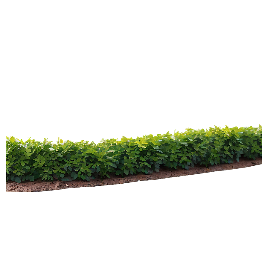 Shrub Border Png Shi72