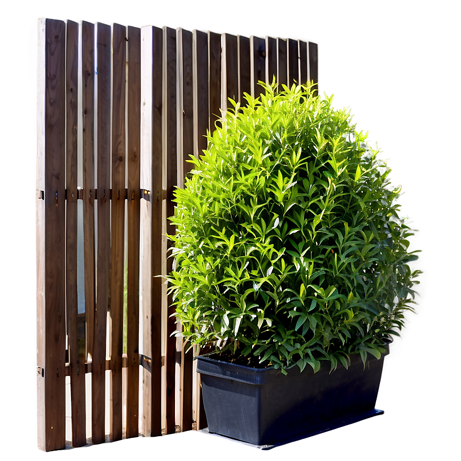 Shrub For Privacy Png Vpn76