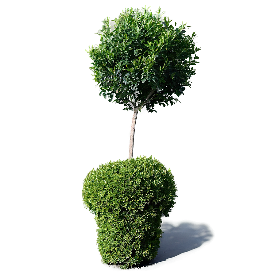 Shrub In Landscape Png Acy88