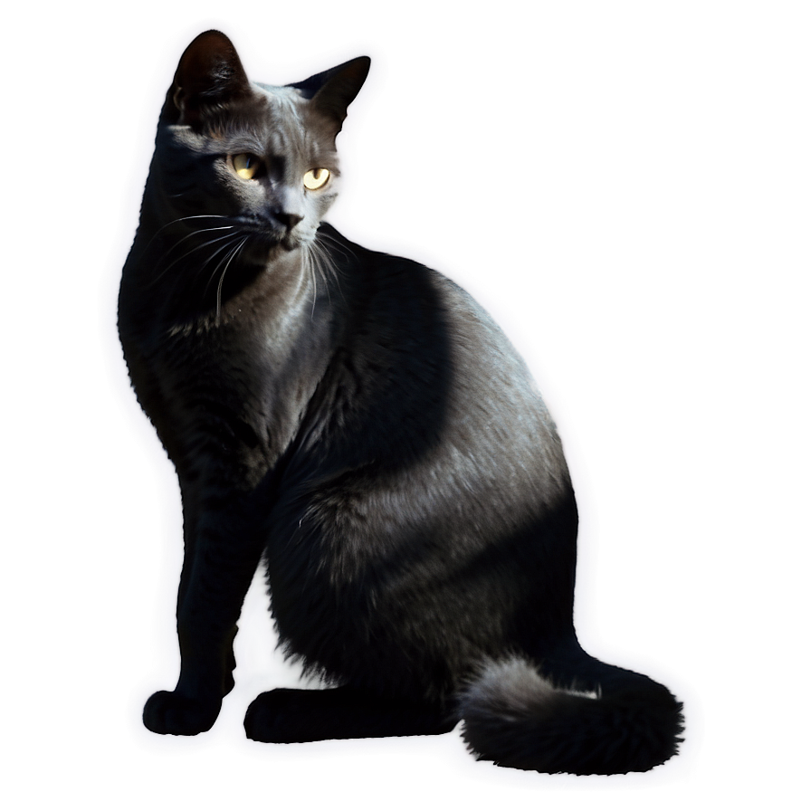 Silhouette Of Grey Cat Png 06252024