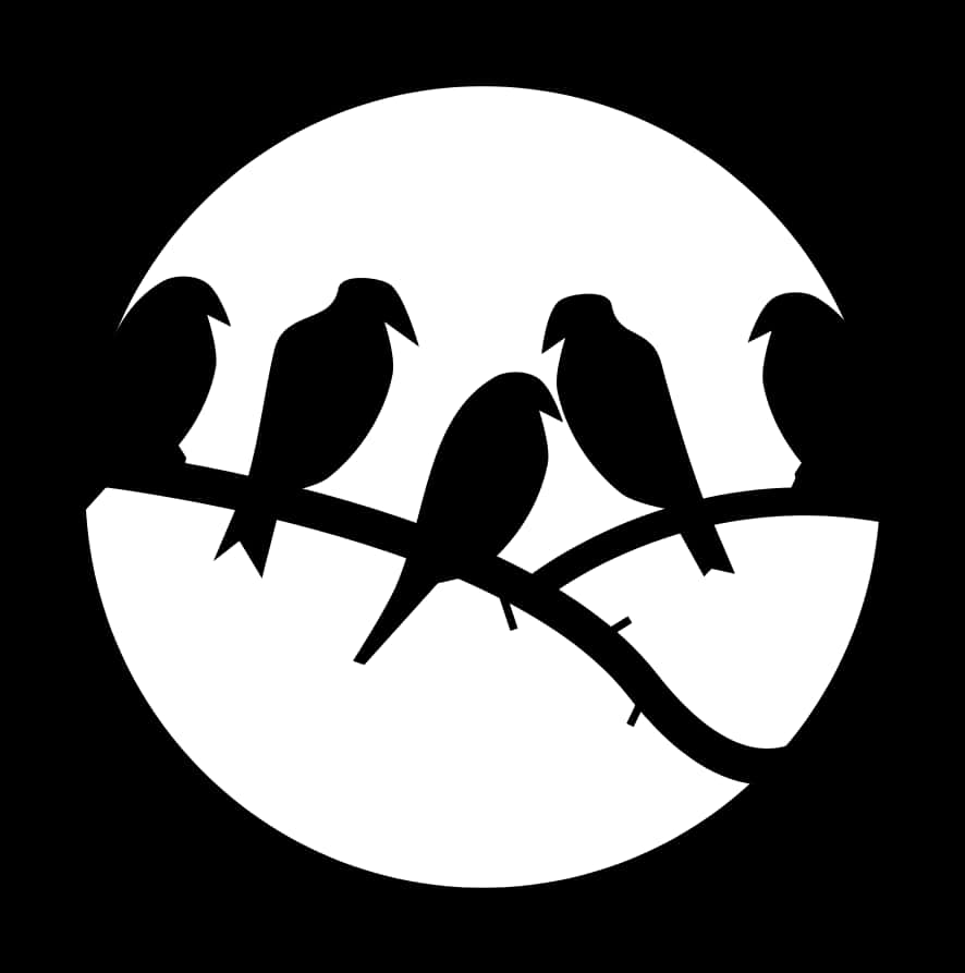 Silhouetted Birdson Branch