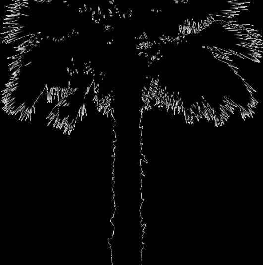 Silhouetted Coconut Tree Art