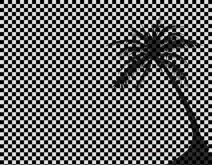 Silhouetted Coconut Tree Transparent Background