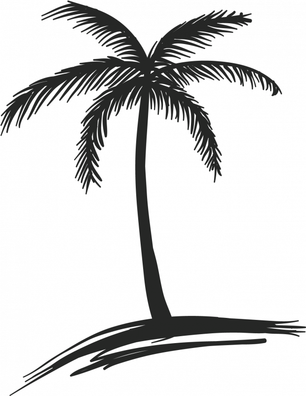 Silhouetted Palm Tree