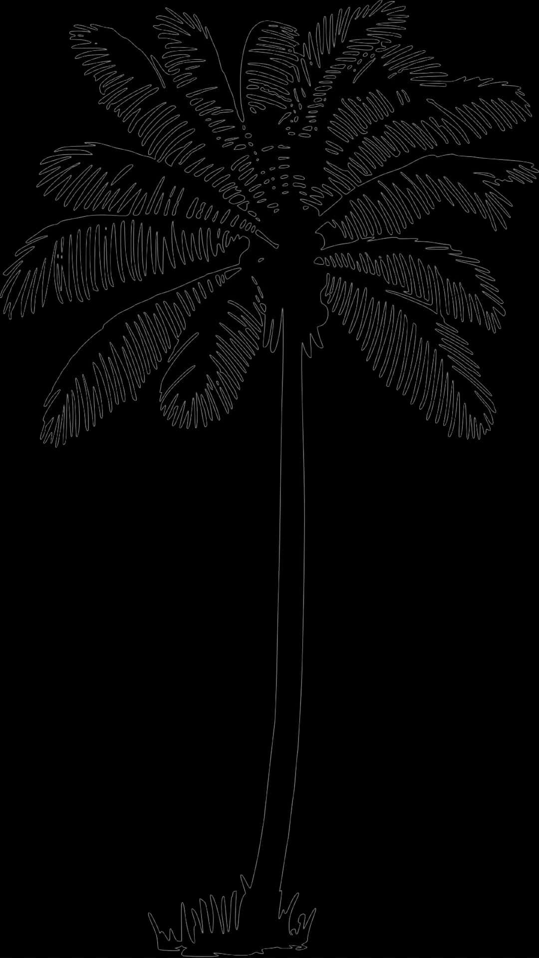 Silhouetted Palm Tree Graphic