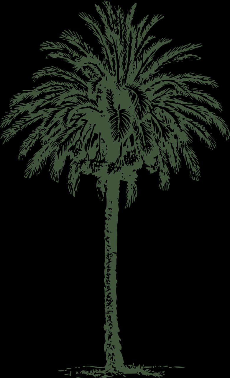 Silhouetted Palm Tree Graphic