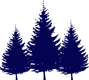 Silhouetted Pine Trees Graphic