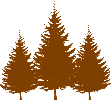 Silhouetted Pine Trees Graphic