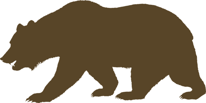 Silhouetteof Bear Walking