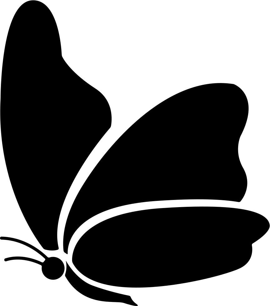 Silhouetteof Butterfly