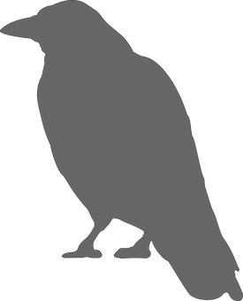 Silhouetteof Crow Standing