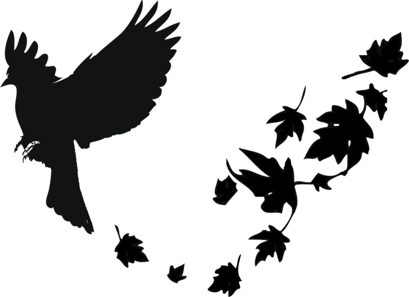 Silhouetteof Flying Black Birdand Leaves