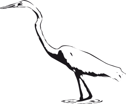 Silhouetteof Heron Standing