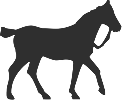 Silhouetteof Horse Walking