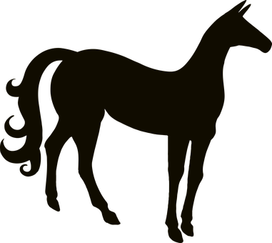 Silhouetteof Horseon Dark Background