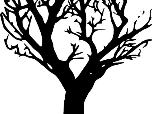 Silhouetteof Leafless Tree.png