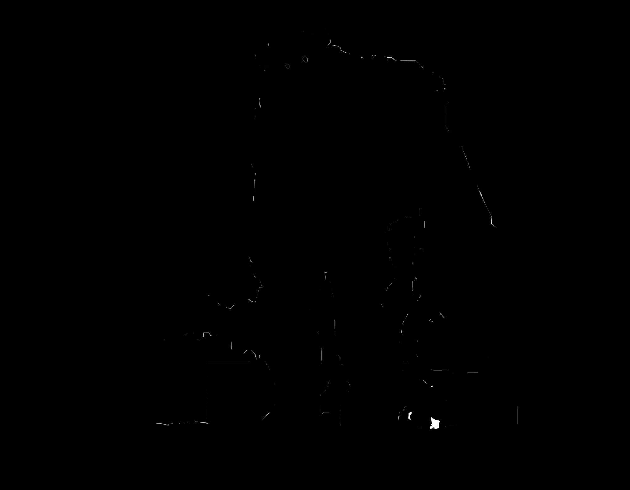 Silhouetteof Person Standing