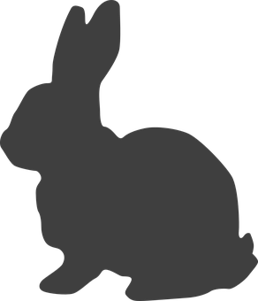 Silhouetteof Rabbit