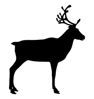 Silhouetteof Reindeer