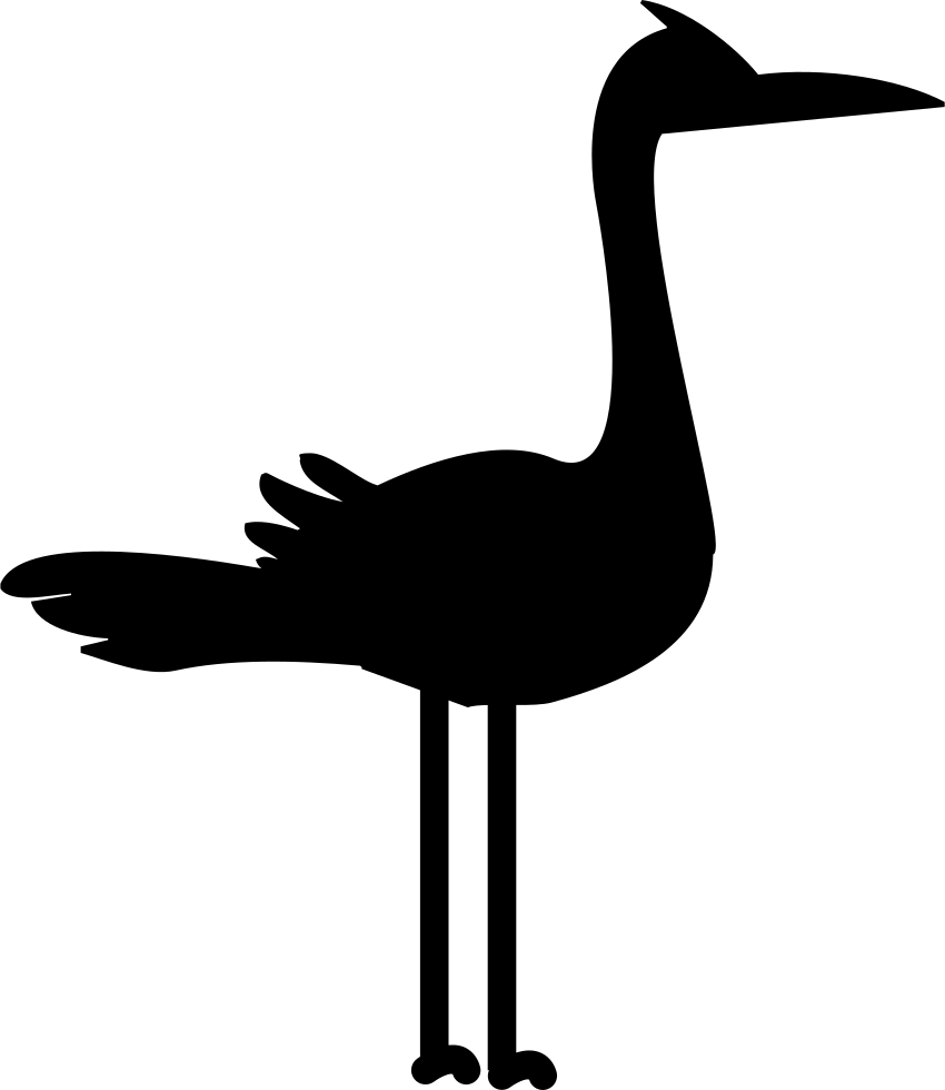 Silhouetteof Stork Standing