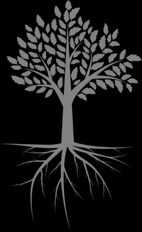 Silhouetteof Treewith Roots