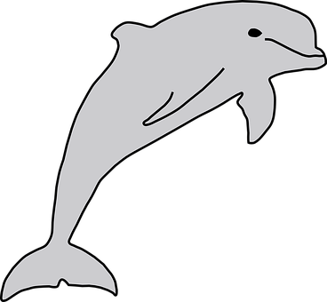 Silhouetteofa Dolphin