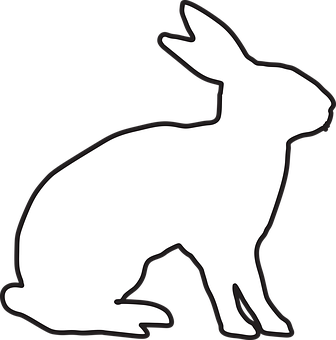 Silhouetteofa Rabbit