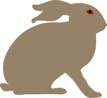 Silhouetteofa Rabbit