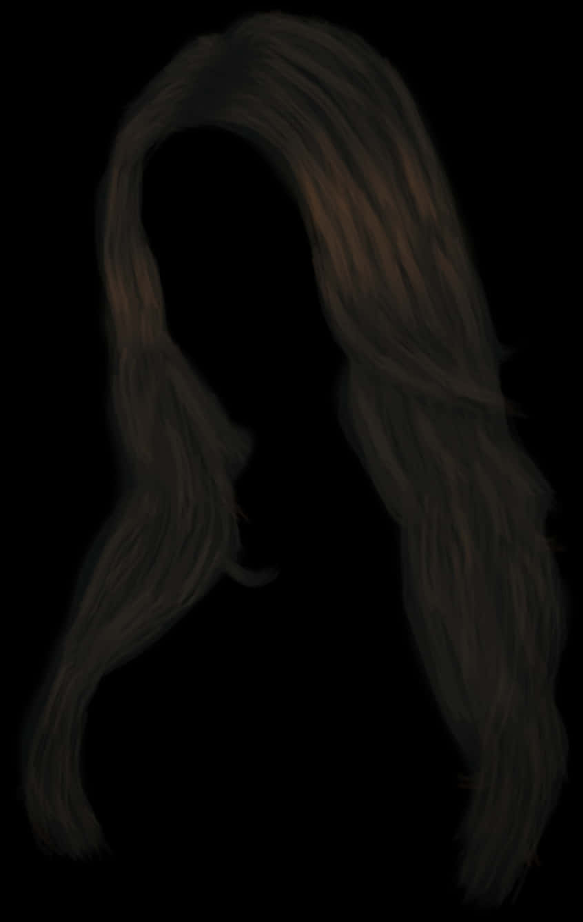 Silhouettewith Long Hair