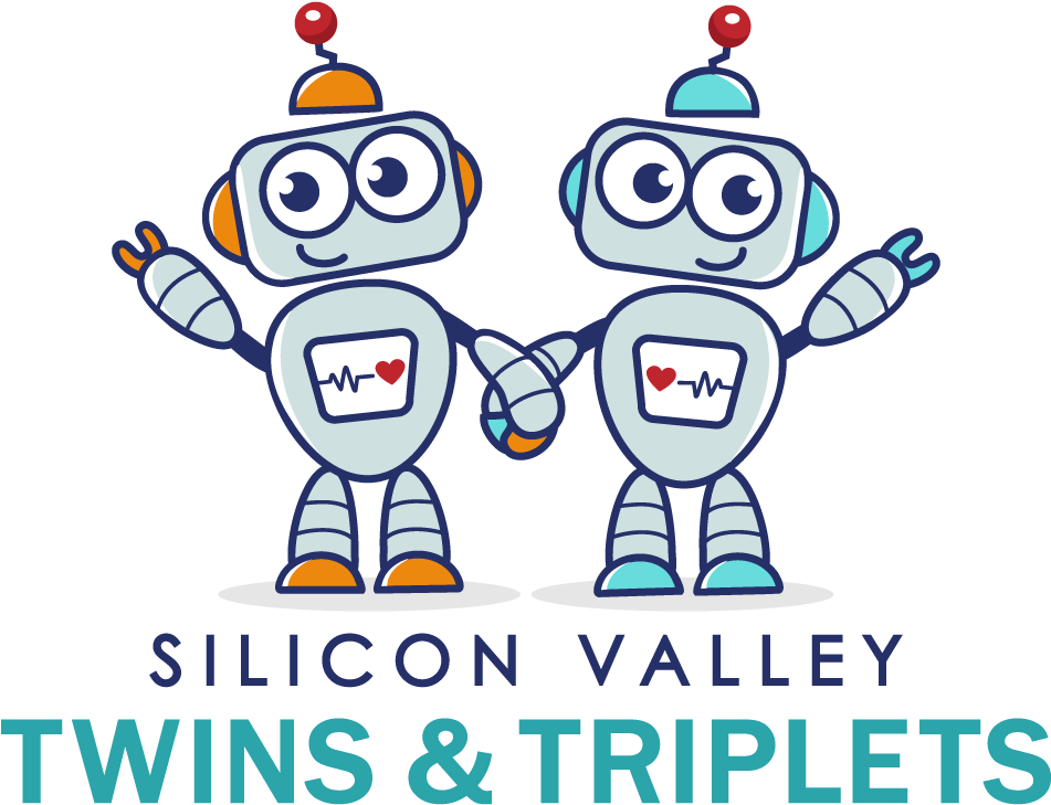 Silicon Valley_ Twins_ Robots_ Vector
