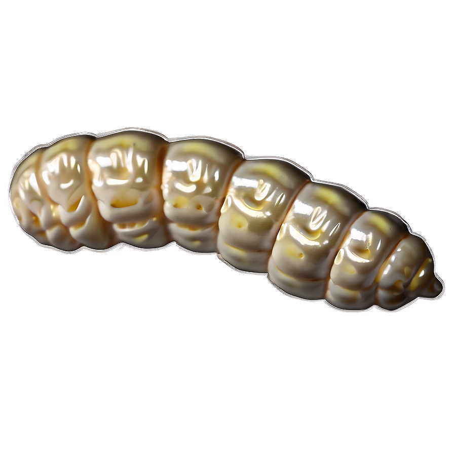 Silkworm Image Png 05242024