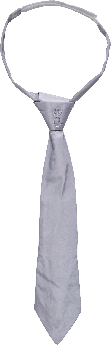 Silver Necktie Transparent Background