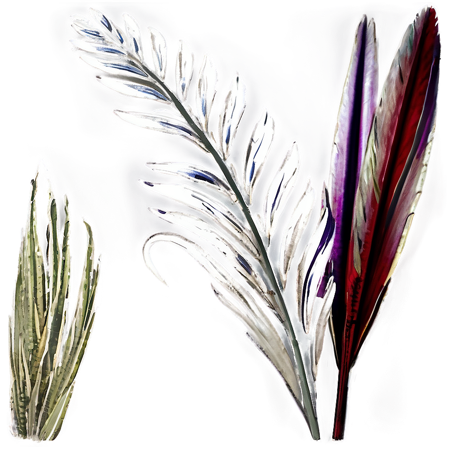 Silver Pampas Sprigs Png Glw