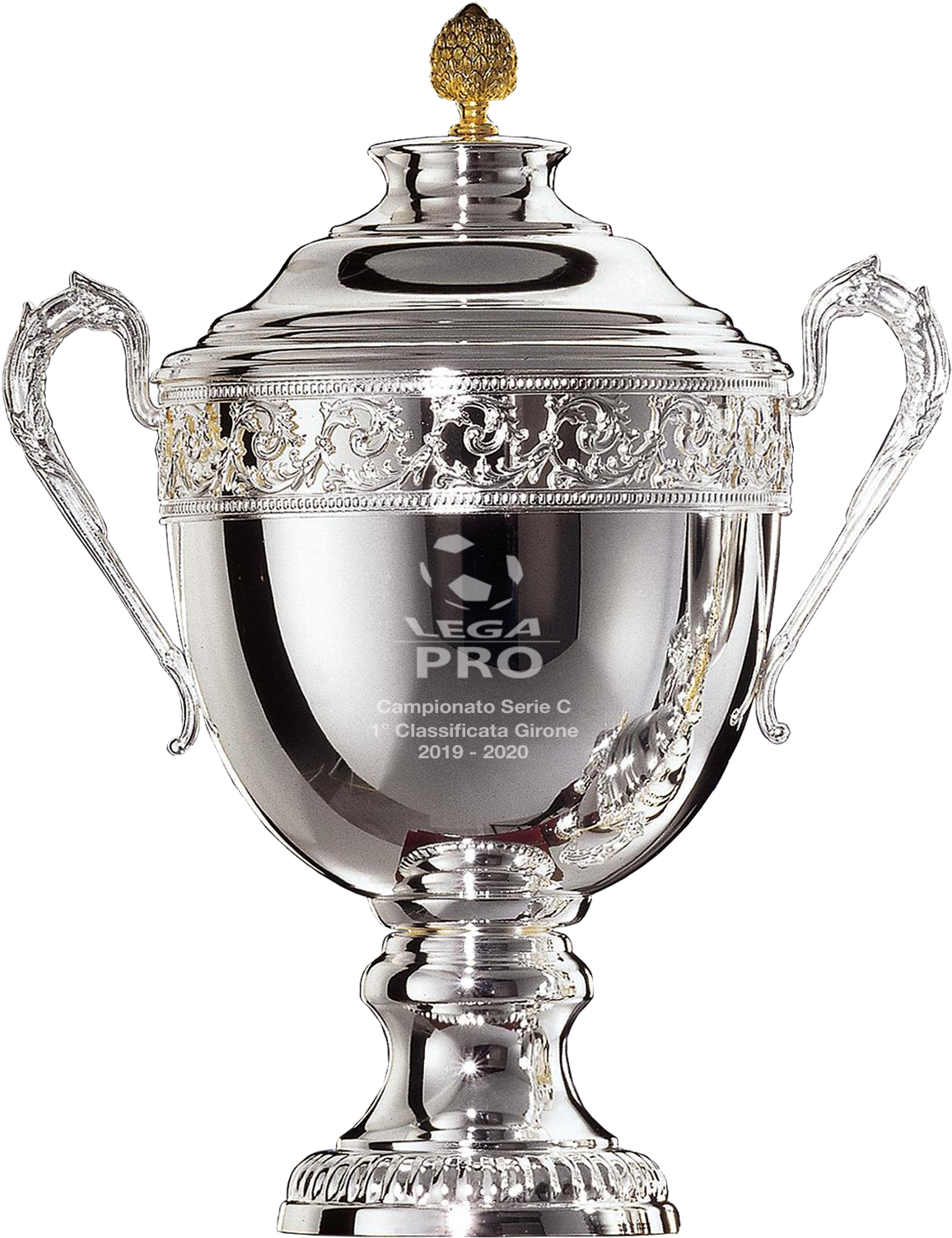 Silver Sports Trophy Image