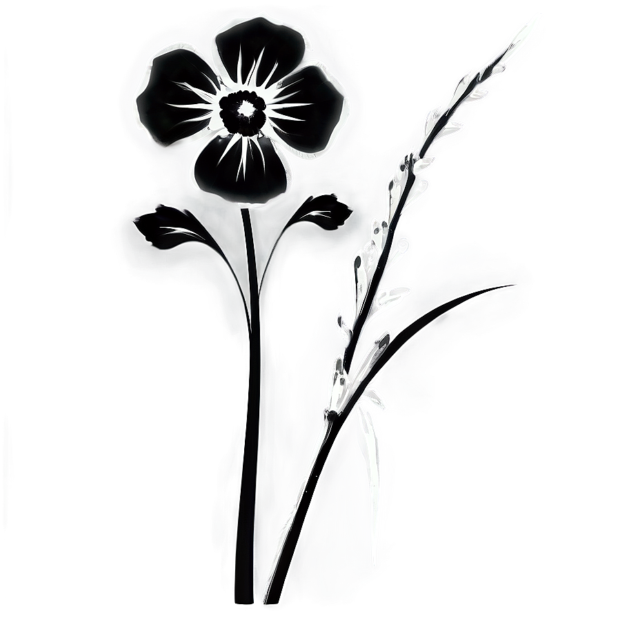 Simple Black And White Flower Png 22