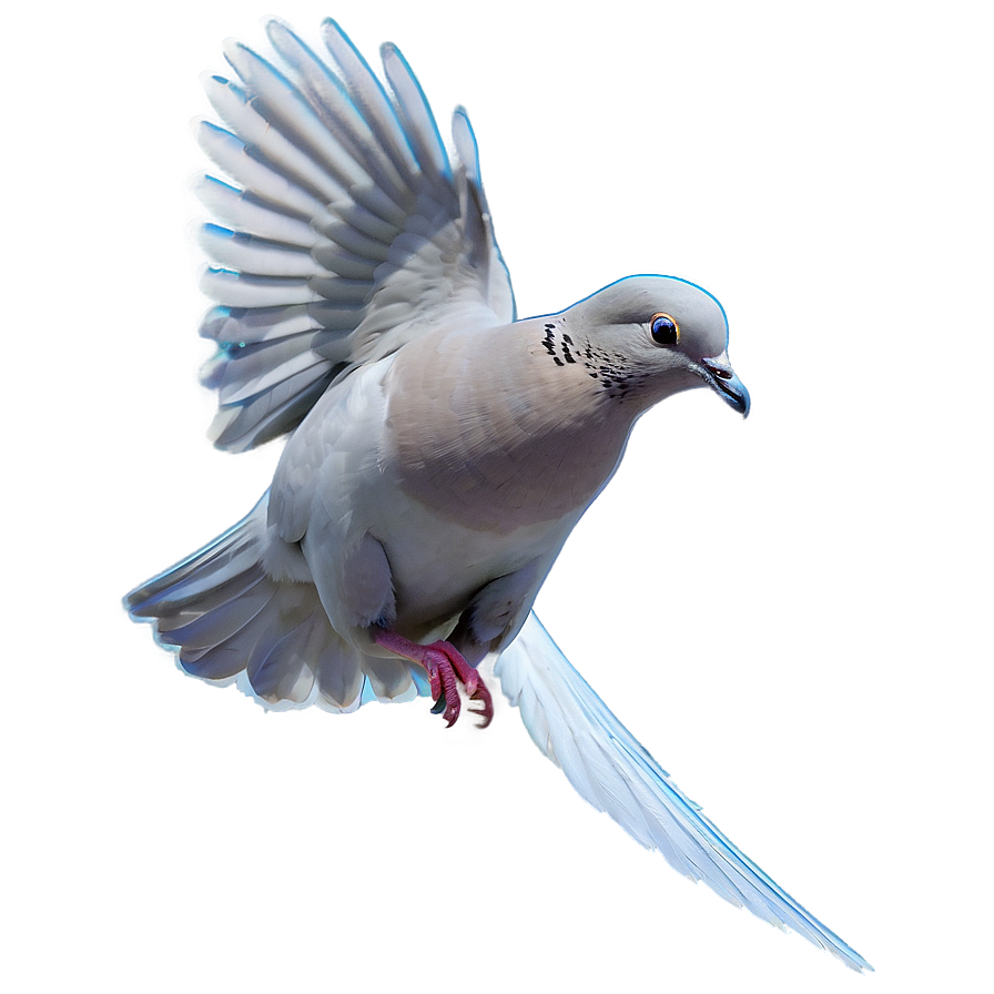 Simple Dove Png 20